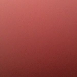 Meet your Posher, Amelia